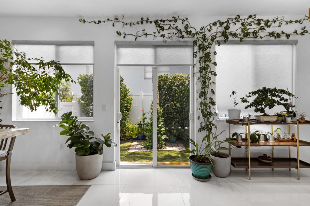 Indoor garden with potted plants and sliding glass door to outdoor yard.
