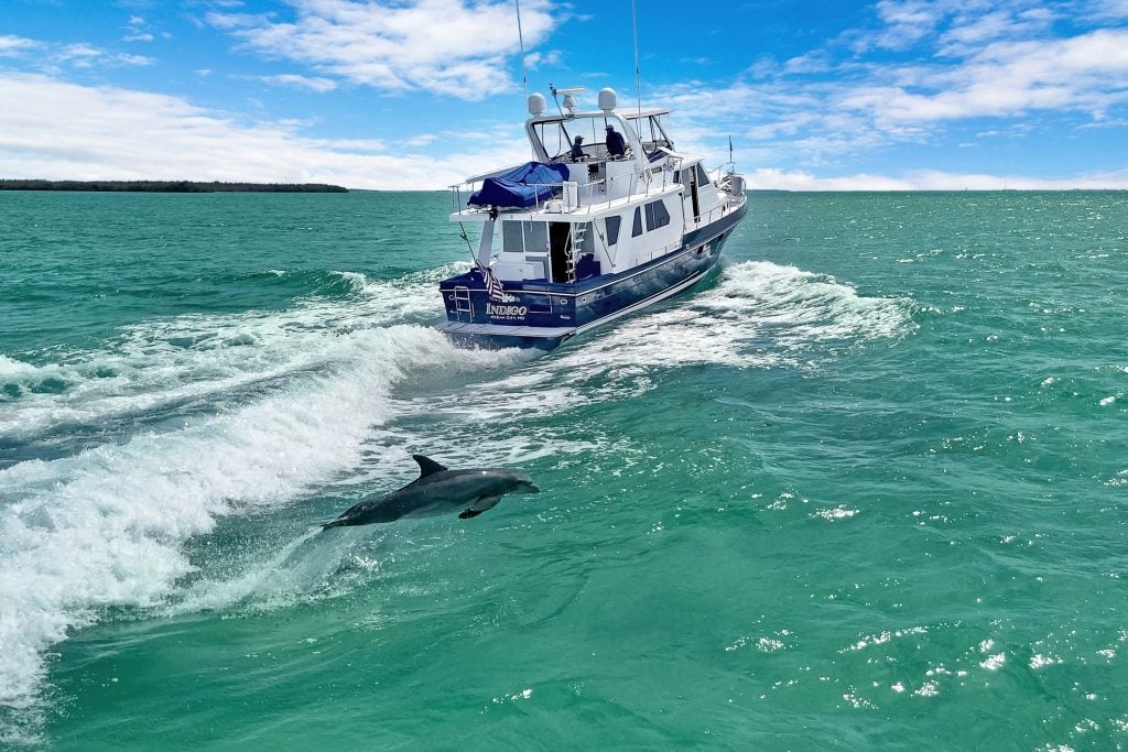Luxury yacht cruising on turquoise ocean with dolphin nearby.